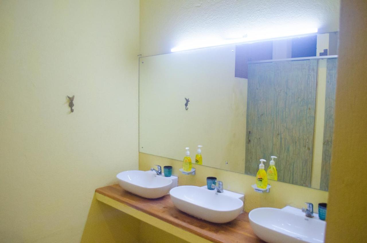 Forestville Yala Ngoại thất bức ảnh
