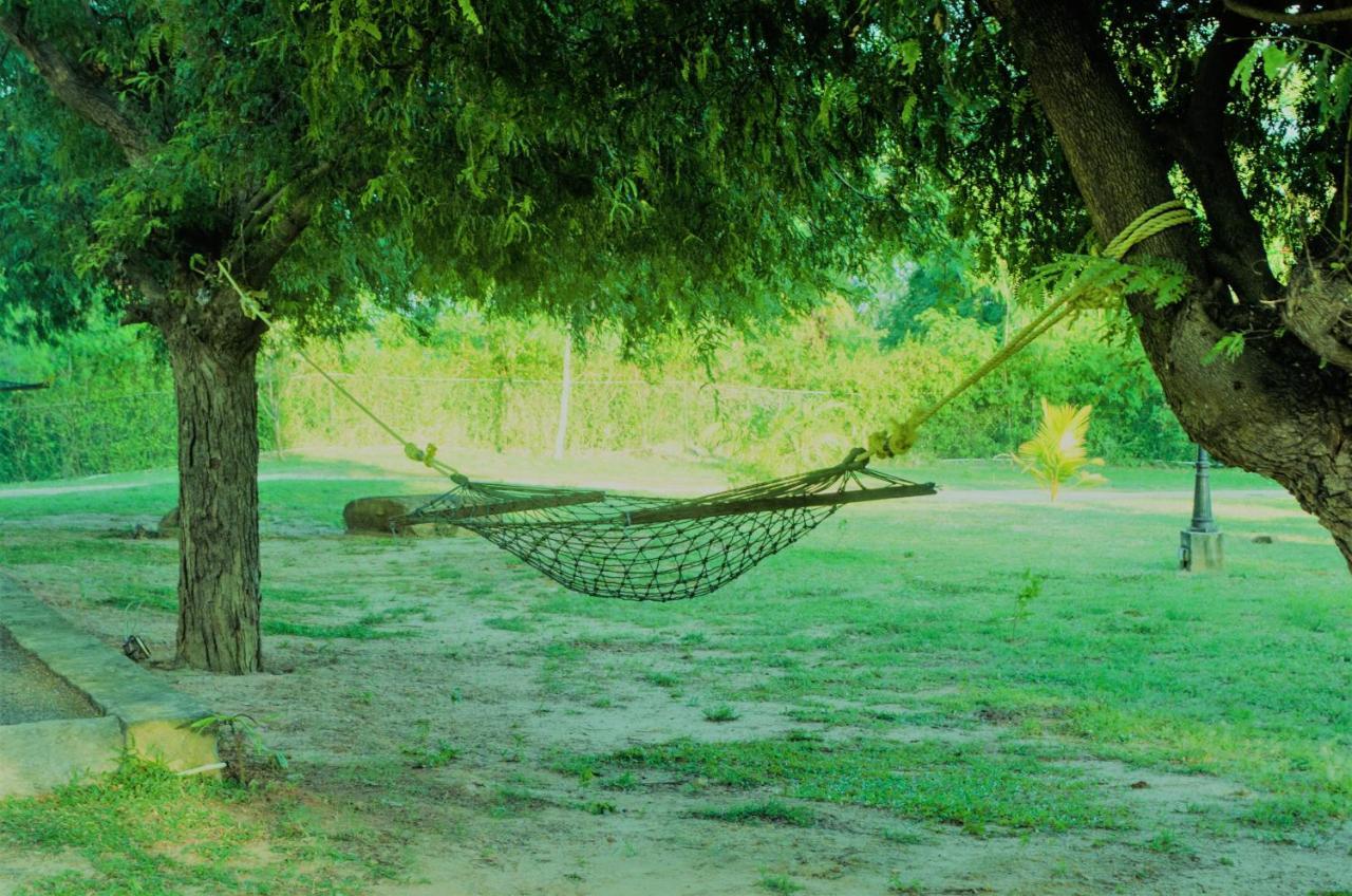 Forestville Yala Ngoại thất bức ảnh