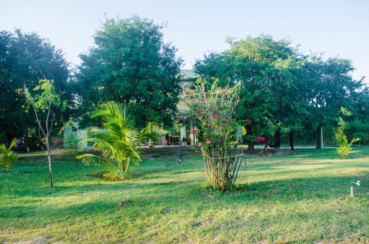 Forestville Yala Ngoại thất bức ảnh