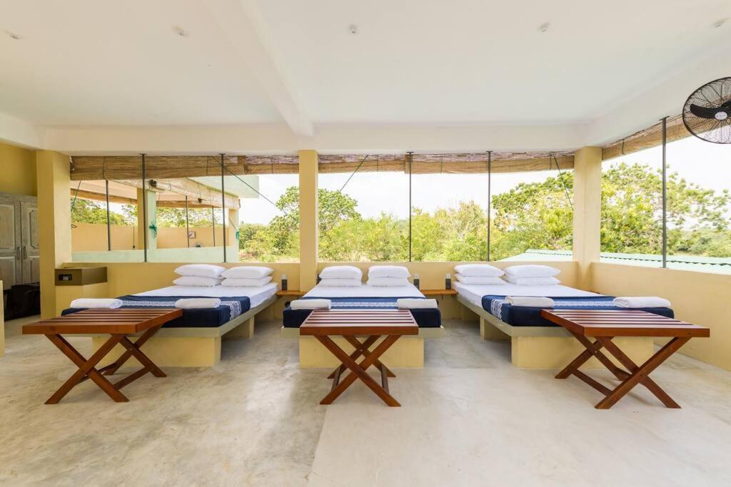Forestville Yala Ngoại thất bức ảnh
