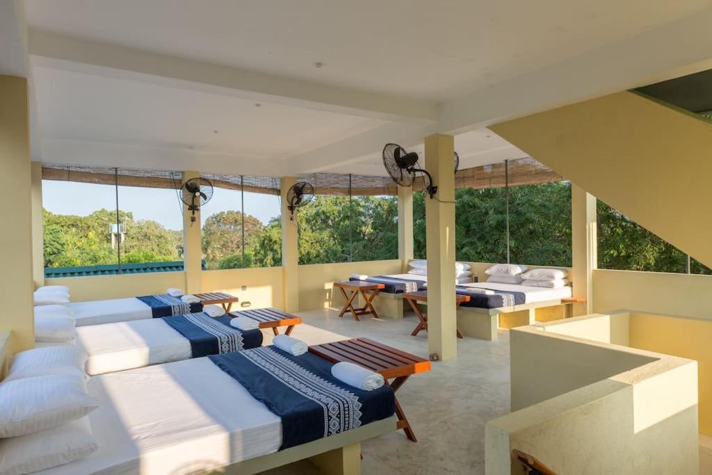 Forestville Yala Ngoại thất bức ảnh
