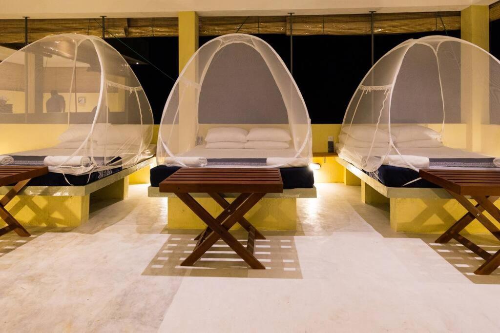 Forestville Yala Ngoại thất bức ảnh