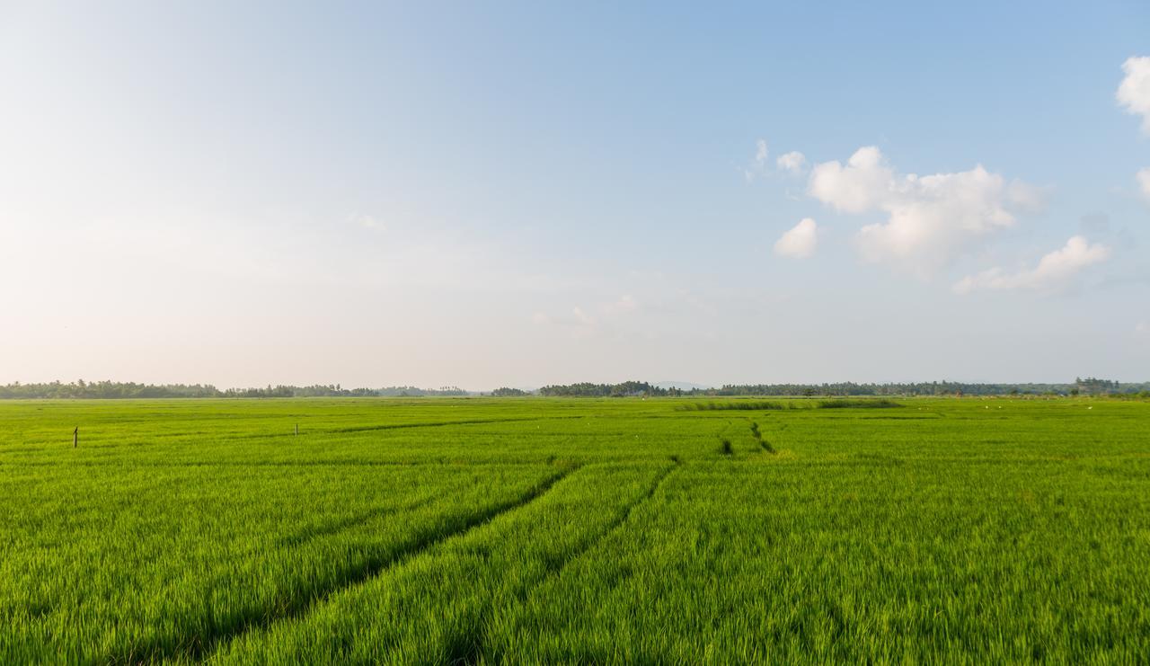 Forestville Yala Ngoại thất bức ảnh