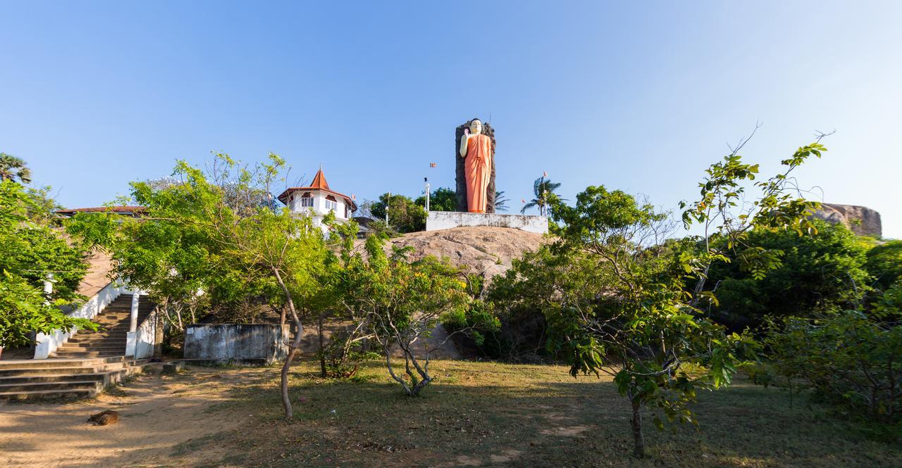 Forestville Yala Ngoại thất bức ảnh