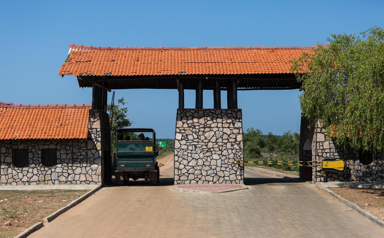 Forestville Yala Ngoại thất bức ảnh