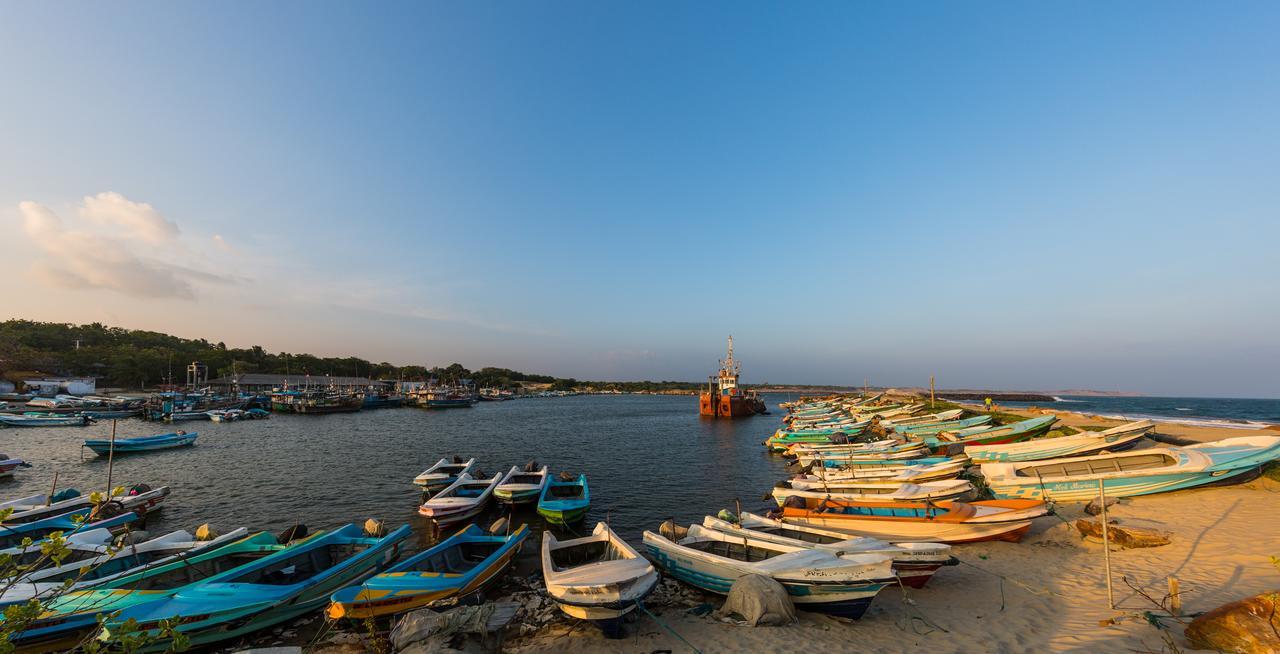 Forestville Yala Ngoại thất bức ảnh